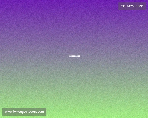 武术商业赛事有哪些