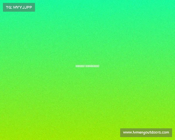 美网赛事规则(美网赛事规则是什么)