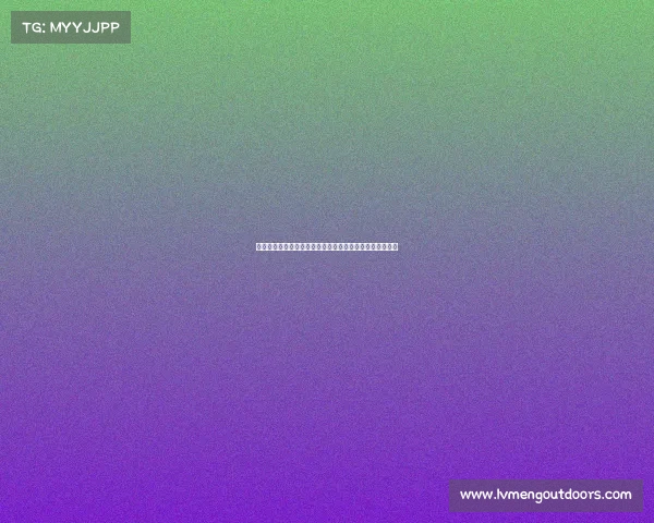 荣耀格斗赛事激昂启幕勇士热血对决铸就王者传奇巅峰时刻