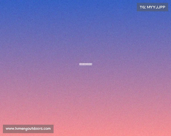 赛事组织机构是什么