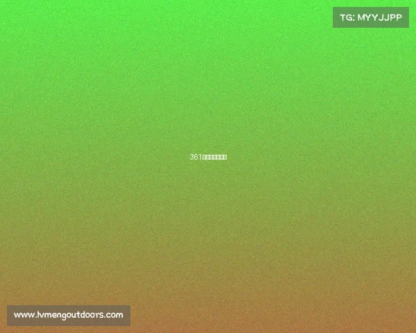 361获奖的那款鞋子