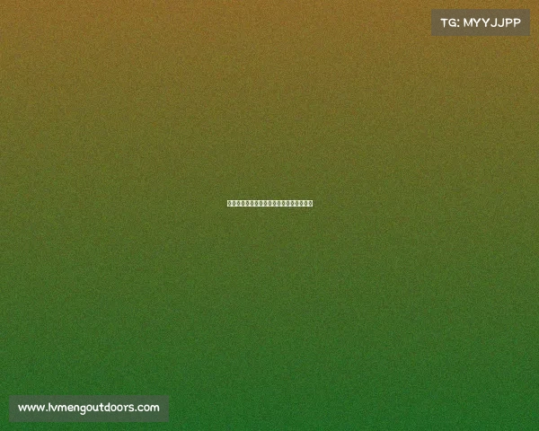 国内顶尖搏击赛事国内顶尖搏击赛事有哪些