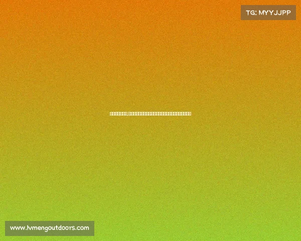 比赛快报怎么写,赛事快讯足球世界杯决赛法国点球大战胜阿根廷勇夺冠军